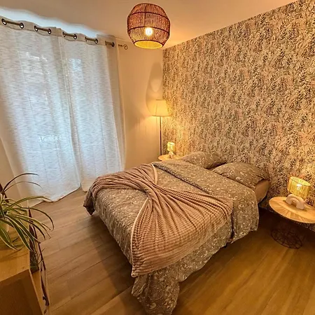 Appartement Le Salvator - Mulhouse