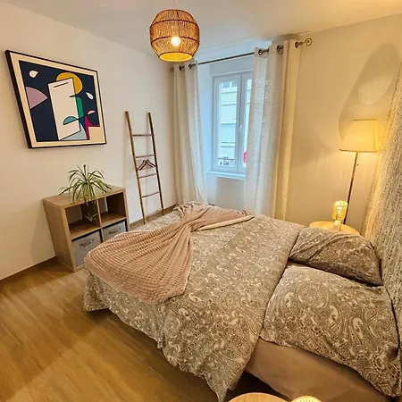 Appartement Le Salvator - Mulhouse