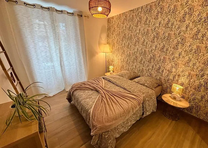 Appartement Le Salvator - Mulhouse