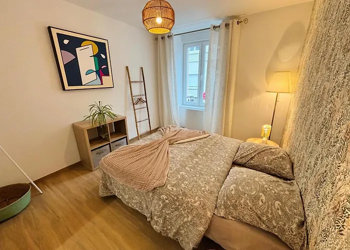 Appartement Le Salvator - Mulhouse